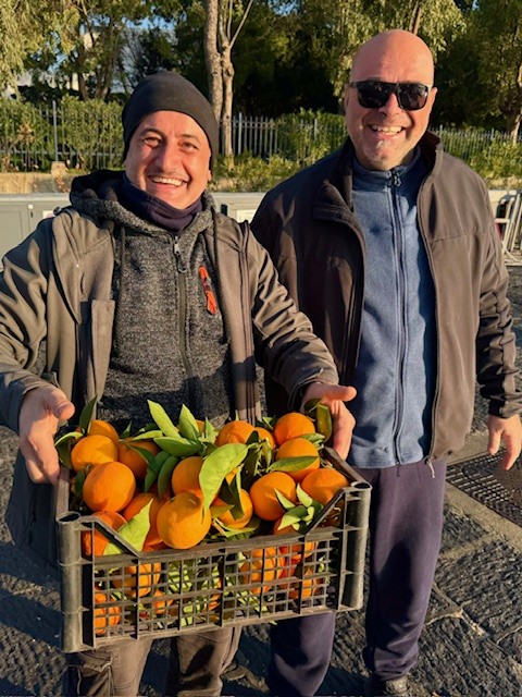 charter a multihull sail the Egadi Islands